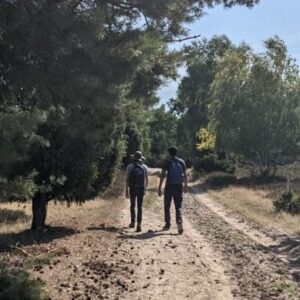 on the trail, Lüneberger Heide